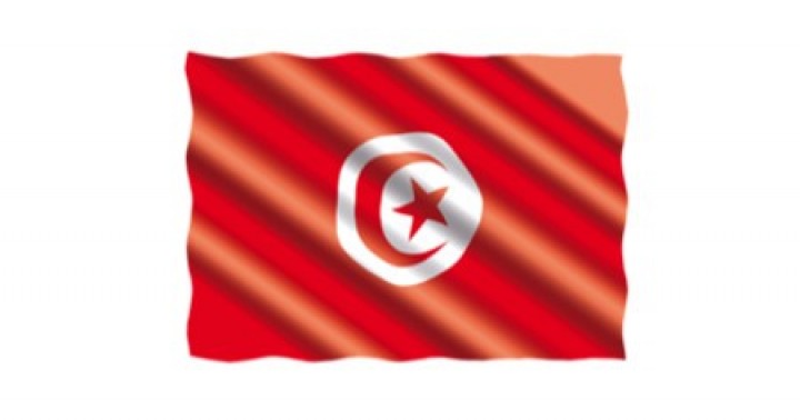 Tunus'ta Açılan Uluslararası İhaleler Hakkında Bilgi