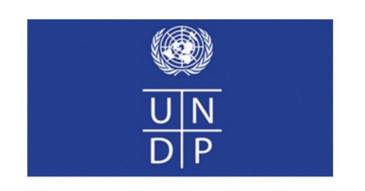 Birleşmiş Milletler Kalkınma Programı - Eşleştirme Etkinliği, 14 Kasım 2019