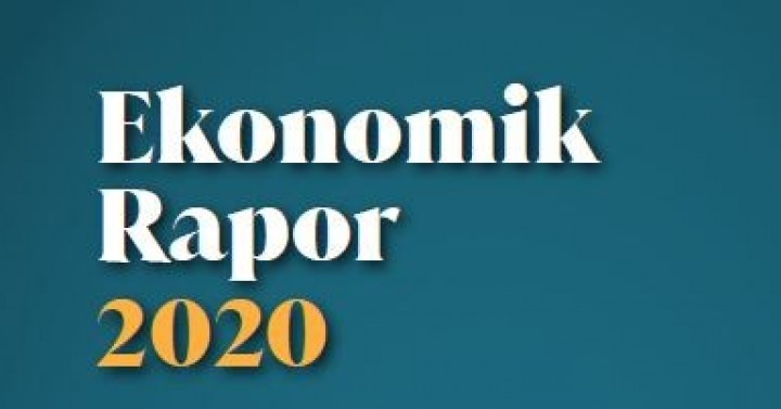 2020 Mersin Ekonomik Raporu