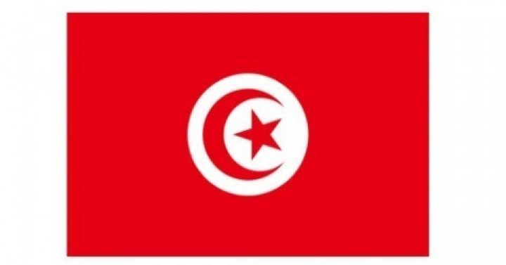 Tunus Uluslararası Havacılık ve Savunma Fuarı