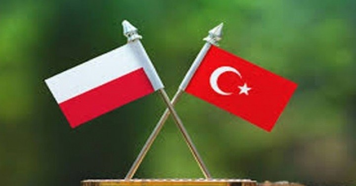 Türkiye-Polonya Çalışma Grubu İkinci Toplantısı