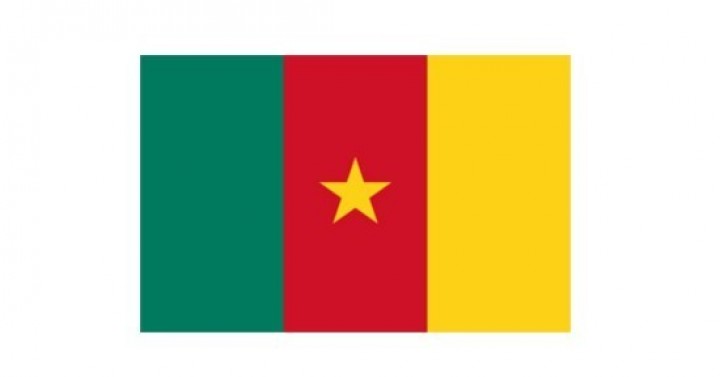 4. Kamerun Yatırım Forumu (CIF 2023) ve Yatırım Fuarı (MI 2023)