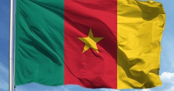Kamerun'da Düzenlenecek Etkinlikler Hakkında