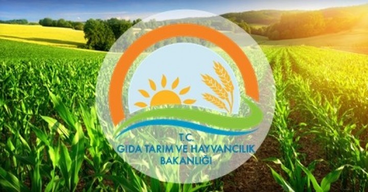 Türk Gıda Kodeksi - Yönetmelik Taslakları