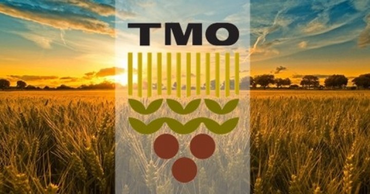 TMO Gaziantep'ten Makarnalık Buğday Satışı