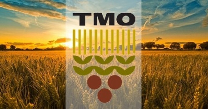 TMO - Güncel İhaleler