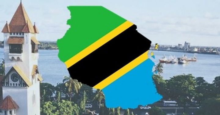 Tanzanya - Tanesco Müşavirlik Hizmeti Alımı İhaleleri