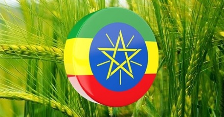 Etiyopya 2.Agro Industry Investment Forum