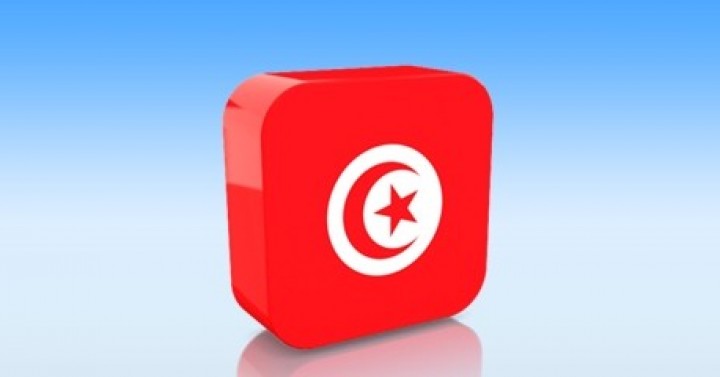 Tunus Gümrükleri