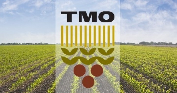 TMO - Mısır Satışı Duyurusu