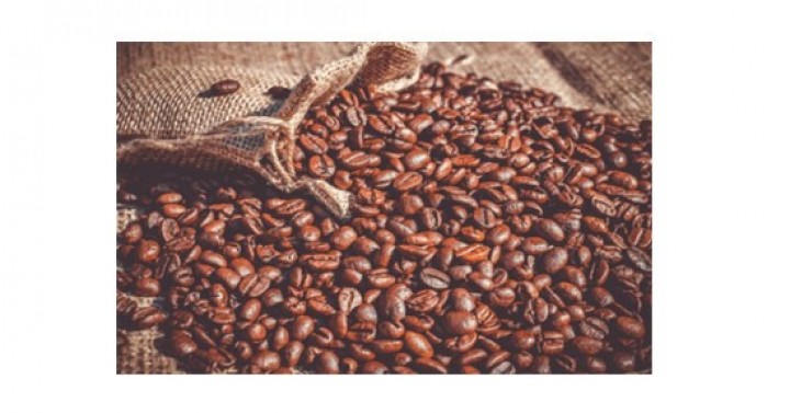 II. Dünya Kahve Üreticileri Forumu, Brezilya, 10-11 Temmuz 2019