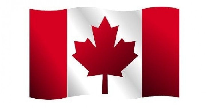  Kanada Hükümetinin Aldığı Yaptırım Kararları Hakkında
