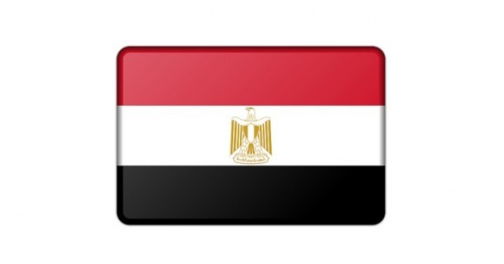 Mısır Gönderi Ön Bilgilendirme (ACID) Sistemine İlişkin Nota