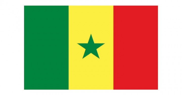 Senegal Kamu Projeleri