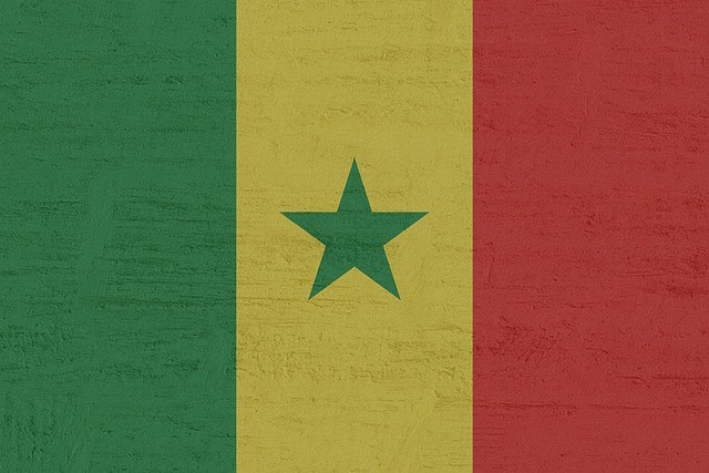 Senegal Güncel Kamu Projeleri