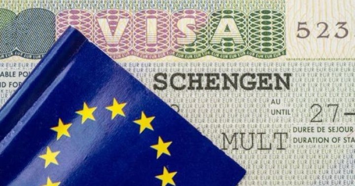  AB/Schengen Bölgesine Karayoluyla Yapılan Yolcu Taşımaları