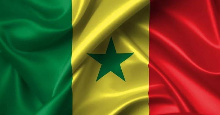  Senegal'de Gümrük İşlemlerinde ve Vergi İncelemelerinde İdarenin Kontrollerini Artırması